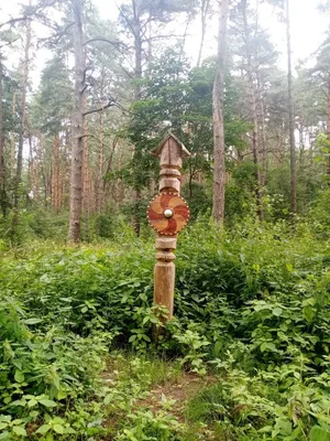 Gnezdovo — photo 3