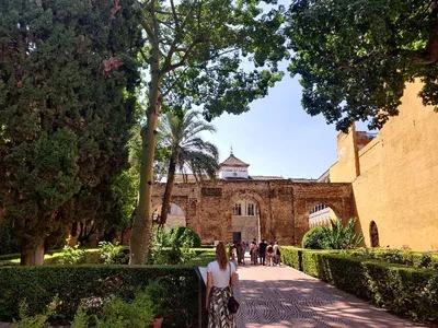 Alacazar de Séville (Real Alacazar de Sevilla) — photo 2