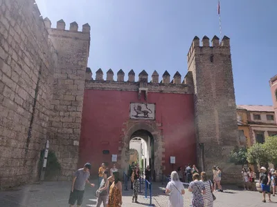 Alacazar de Séville (Real Alacazar de Sevilla) — photo 4