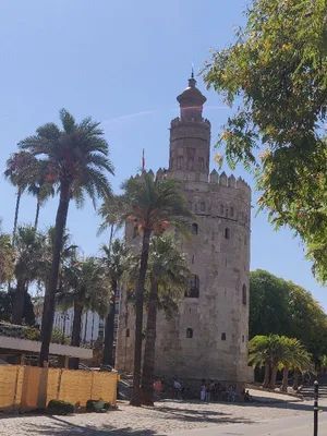 Tour de l'or (Torre del Oro) — photo 4