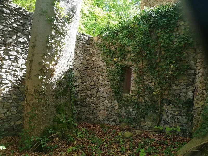 Château de Schirmeck