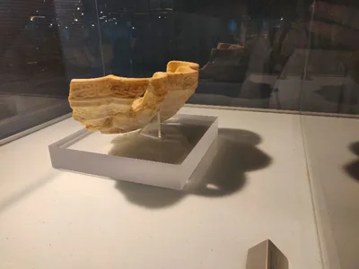 Antiquarium — photo 4