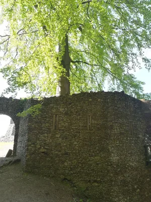 Château de Schirmeck — photo 3