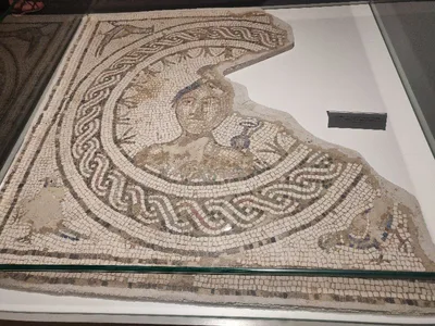 Antiquarium — photo 5