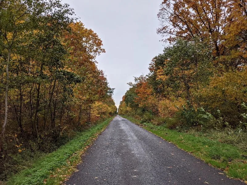 Forêt de Raismes - St Amand - Wallers