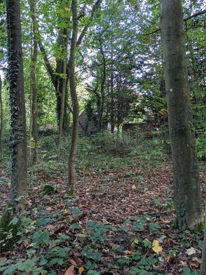 Bois de Warwamme — photo 4