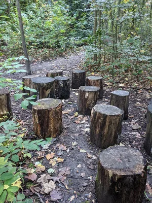 Bois de Warwamme — photo 6