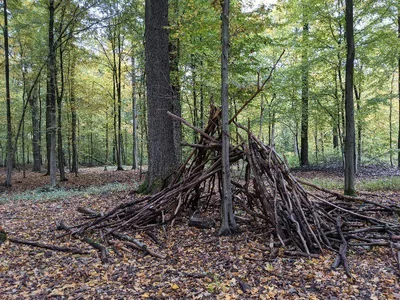 Forêt de Raismes - St Amand - Wallers — photo 6