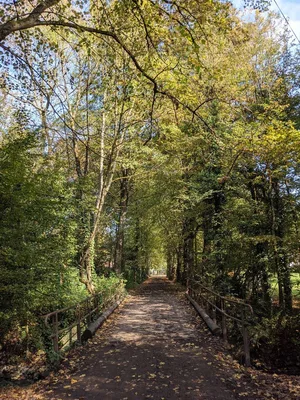Bois de Warwamme — photo 7