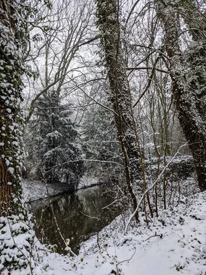 Bois de Warwamme — photo 8