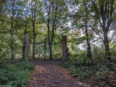 Bois de Warwamme — photo 9