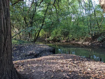 Bois de Warwamme — photo 12