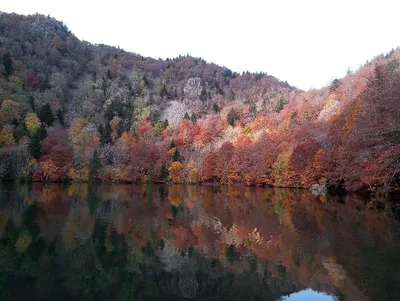 Lac des étoiles (Sternsee)