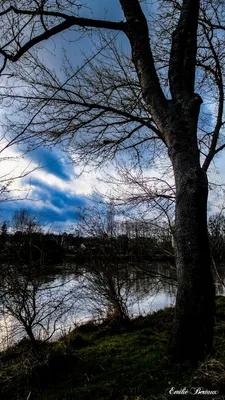Camps au bord du Cher — photo 3