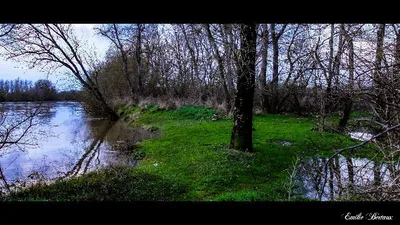 Camps au bord du Cher — photo 4