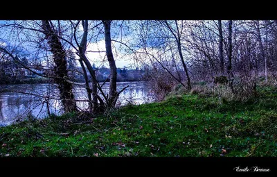 Camps au bord du Cher — photo 5
