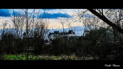 Château de Saint-Aignan — photo 3