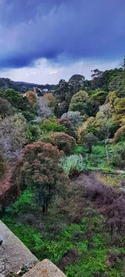 Sintra — photo 1