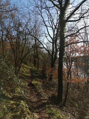 Barrage de la Touche Poupard