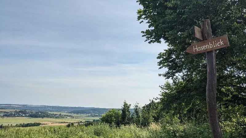 Hasenblick