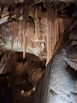 Grotte de la Cocaliere — photo 3