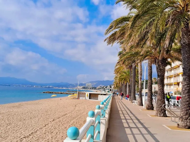 Croisette de Cannes