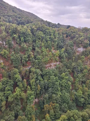 Les Gorges de l'Usses — photo 4