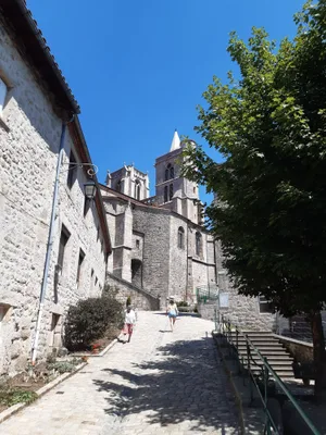 Collégiale de Saint Bonnet le Château — photo 2