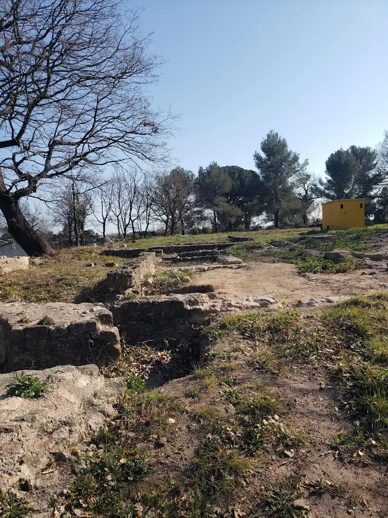 Thermes gallo-romaines de Fréjus