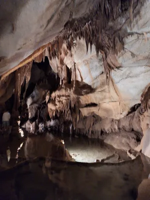 Grotte de la Cocaliere — photo 4