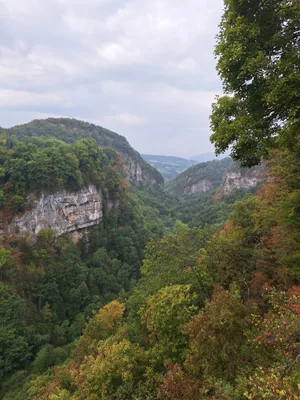 Les Gorges de l'Usses — photo 2