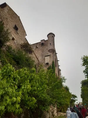 Château des Roure — photo 4