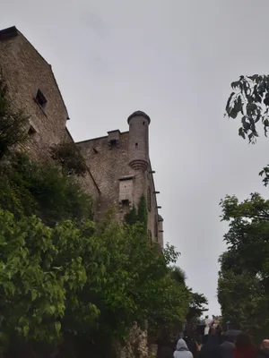 Château des Roure — photo 6