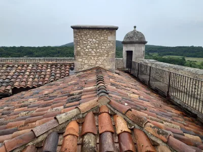 Château des Roure — photo 7