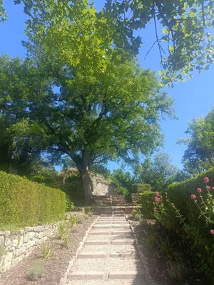 Jardins seigneuriaux du château de Bruniquel — photo 3