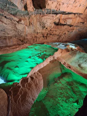Grotte de la Cocaliere — photo 6