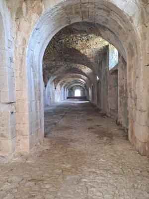 Château de Banne — photo 6