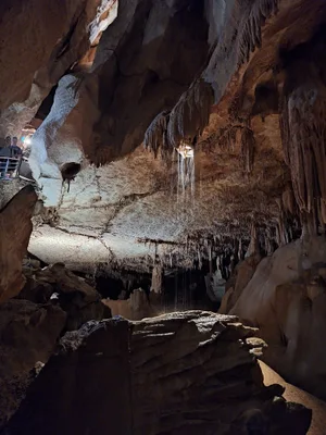 Grotte de la Cocaliere — photo 2