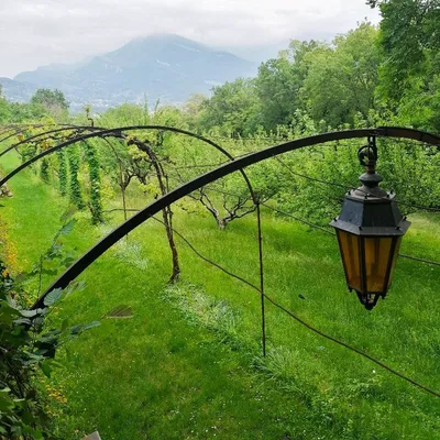 Chez Jean Jacques Rousseau — photo 1