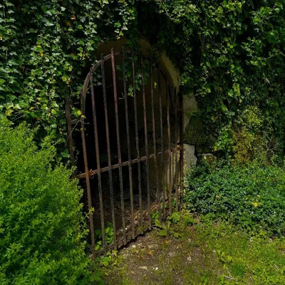 Chez Jean Jacques Rousseau — photo 3