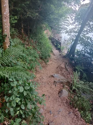 Lac de Pierre Percée — photo 5