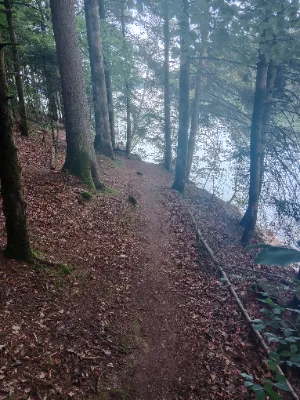 Lac de Pierre Percée — photo 6