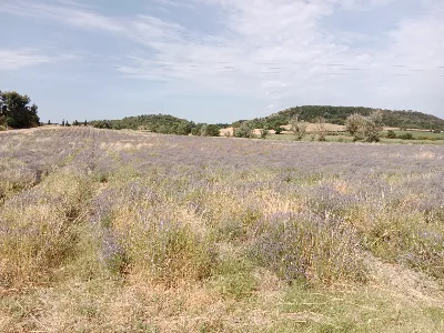 Les Collines de Besplas — photo 3