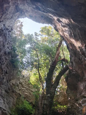La Grotte des Cazals — photo 6