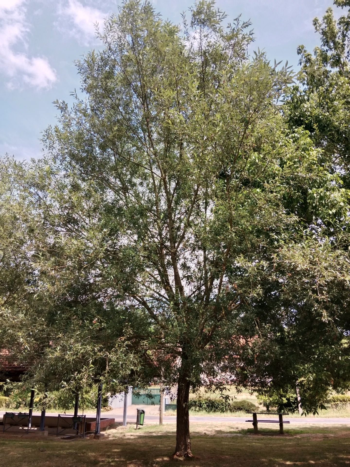 L'arboretum des Saules