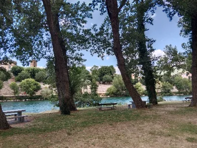 Île de la Madrerie — photo 4