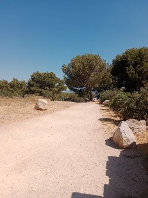 Forêt et Sentier des Pierres Blanches — photo 3