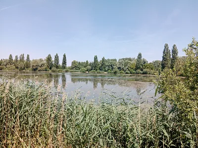 Lac de Vaivre-et-Montoille — photo 3