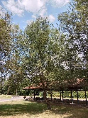 L'arboretum des Saules — photo 2