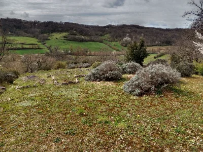 Nécropole Mérovingienne de Tabariane — photo 2